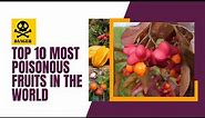 Top 10 Most Poisonous Fruits in the World
