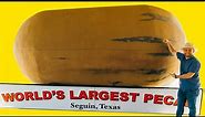 Story of the World's Largest Pecan! THIS IS NUTS!!! - Seguin, TX