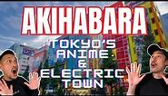 LIVING in Tokyo's Largest Anime & Electric Town?! | Akihabara
