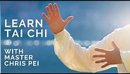 Tai Chi for Beginners | Best Instructional Video for Learning Tai Chi
