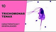 Trichomonas tenax 10.0 || Tricomoniasis || Parasitología || Flagelados