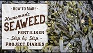 ★ How to: Make Seaweed Fertiliser (A Complete Step by Step Guide)