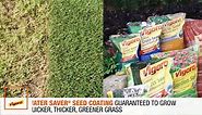 Vigoro 1 cu. ft. All Purpose Garden Soil for In-Ground Use for Fruits, Flowers, Vegetables and Herbs 72171920