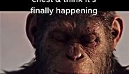 When You Feel A Sharp Pain In Your Chest And Think It's Finally Happening Planet Of The Apes Meme