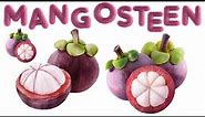 Mangosteen - Queen of Fruits - Discover the Tropical Wonders