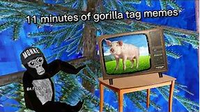 11 minutes of gorilla tag memes ￼