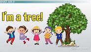 Parts of a Tree Lesson for Kids: Functions & Diagram