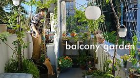 Apartment Balcony Garden | designing with plants