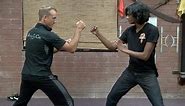 Real Ba Gua Fighting - 8 Moves, Internal Kung Fu!