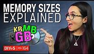 Bits and Bytes 💾 Data Storage Measurements Explained – DIY in 5 Ep 164