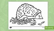 Hedgehog Colouring Sheet