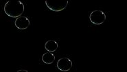 Moving Bubbles | Blue, Black, Green Screen Effect Video Background