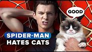 Spider-Man really, really hates cats