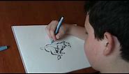 Dusan Krtolica 13 years March 2016- Crtanje Zivotinja Olovkom - Drawing Animals With Pen