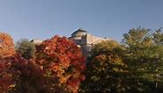 Fall colors on central campus 2023