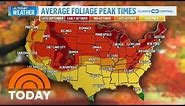Peak foliage times across the US for 2023