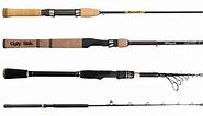 30 Best Fishing Rods in 2023 | Review By Captain Cody
