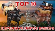 Top 10 Most Expensive Horse Breeds in the World.
