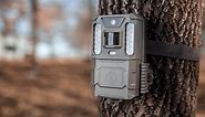 Trail Cameras, Hunting & Cellular Cameras | Bushnell