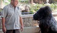 Watch the Official ZOOKEEPER Trailer - In Theaters 7/8