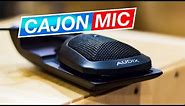 Meet My Cajon Microphone - Sela Cajon with Audix ADX60 Mic