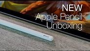 Apple Pencil 2 unboxing