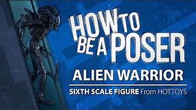 Hot Toys Alien Warrior How to be a Poser