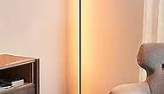 EDISHINE LED Corner Floor Lamp, Minimalist Dimmable Light with Remote, Standing 57.5 Inches Tall Lamp for Living Room, Bedroom, Home Office, 7 Color Temperature 2700-6000K (Black)