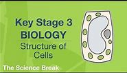 Key Stage 3 Science (Biology) - Structure of Cells