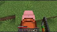 How to make use of Carrot on a Stick - Minecraft
