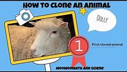 How to clone-How Dolly the sheep was cloned