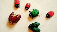 how to make bugs out of pistachio shell. DIY cute ladybird