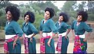 Best Ethiopian Traditional Music 2014 Solomon Demle - Mech Ayeshiwuna