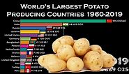 World's Largest Potato Producing Countries 1960-2019 | Top 15 Potato Producing Countries 1960-2019