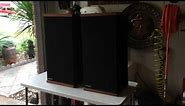 RARE VINTAGE SYNERGISTIC S-53 TOWER SPEAKERS AND PIONEER VSX-9900S