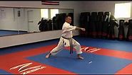 Kihon - Karate Basic Combinations