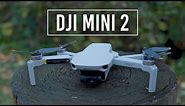 DJI Mini 2 Drone | Hands-on Review