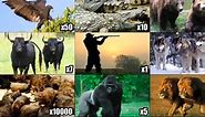 Correctly Ranking The ‘Pick 2 Animals To Defend You’ Meme ’Coz There’s Only One Clear Answer