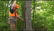Tree Stand Safety: Installing a Ladder Tree Stand