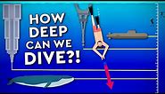 What Is The DEEPEST A Human Can DIVE? Debunked