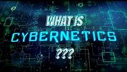 What is cybernetics?