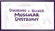 Duchenne & Becker muscular dystrophy - causes, symptoms, treatment & pathology