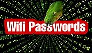 Get WiFi Passwords With Python | python project for beginners