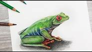 How To Draw a FROG using COLORED PENCIL