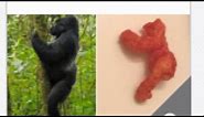 Cheeto Sells For Nearly $100,000 On eBay Because It Resembles Harambe