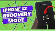 iPhone 13 Pro Max: How to Enter & Exit Recovery Mode