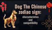 Dog 🐶 the chinese zodiac sign🌒🪧: characteristics and compatibility