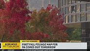Fall foliage forecast: When the colors will start popping throughout Western Pennsylvania