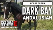 Red Dead Redemption 2: Horse Breeds Dark Bay Andalusian Cinematic