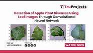 Detection of Apple Plant Diseases Using Leaf Images Through Convolutional Neural Network